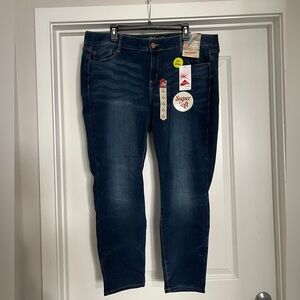 Arizona Jean Company Dark Blue Luxe Jeggings